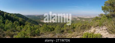 Vista panoramica del paesaggio del deserto nero di Bardena Negra o Bardena delle Bardenas Reales con vegetazione, Navarra, Spagna Foto Stock