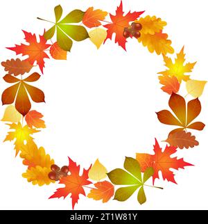 acero autunnale, cerchio di sfondo foglie di quercia, vettore di illustrazione Illustrazione Vettoriale
