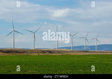 Il parco eolico Twodot da 9,72 megawatt (MW) o due turbine Dot Montana e GE nella parte centro-occidentale della contea di Wheatland, Montana. Il produttore dei sei Foto Stock