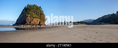 Propietà costiera dell'Oceano Pacifico nella contea di Tillamook a Neskowin, Oregon. Proposal Rock era originariamente chiamato "Schlock" dal Native Ame Foto Stock