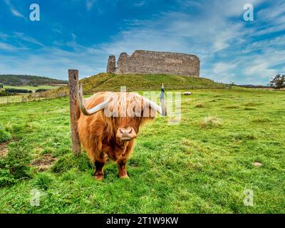 L'immagine è della rovina del XII secolo della fortezza di Castle Roy vicino al villaggio di Nethy Bridge costruita e una volta occupata dal Clan Comyn e dal Clan Grant Foto Stock