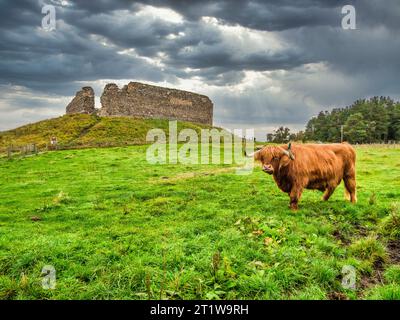 L'immagine è della rovina del XII secolo della fortezza di Castle Roy vicino al villaggio di Nethy Bridge costruita e una volta occupata dal Clan Comyn e dal Clan Grant Foto Stock