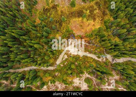 Il ruscello si snoda attraverso una foresta avida vista dall'alto Foto Stock