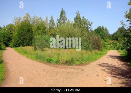 Cardiff Views, Leckwith, Galles del Sud, 2023. cim. Foto Stock