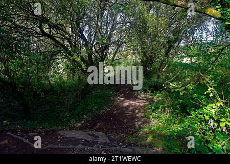 Cardiff Views, la pista ciclabile e pedonale Ely Trail a Leckwith, Galles del Sud, 2023 Foto Stock