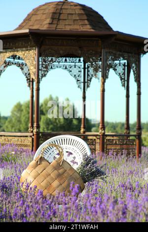 Borsa in vimini con splendidi fiori di lavanda sulla sedia all'aperto Foto Stock