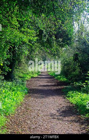 Cardiff Views, il sentiero Ely Trail e la pista ciclabile a Leckwith, Cardiff, Galles del Sud, presi a fine estate 2023 Foto Stock