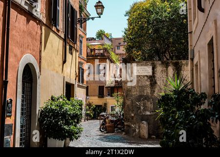 Edifici con piante in vaso a Travestere. Bella facciata con persiane. Marciapiede pavimentato Foto Stock