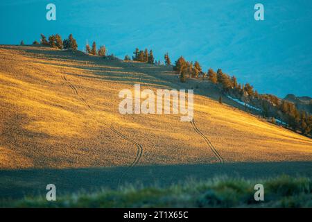 Il White Mountain Peak si innalza per oltre 14.000 metri nel cielo sopra Bishop, CALIFORNIA. Foto Stock