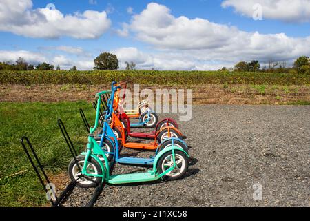 Scooter colorati parcheggiati di fila in un campo agricolo Foto Stock