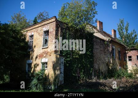 Un modello femminile si pone all'interno delle rovine di una base militare dell'epoca sovietica a Szombatheley, in Ungheria. Foto Stock