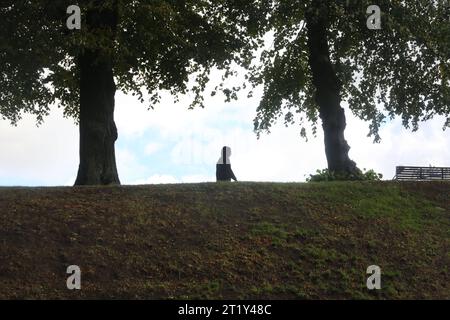 Ein Mann geht am Donnerstag 12.10.2023 in der Hanse- und Universitätsstadt Rostock über die örtlichen Wallanlagen. Senna silhouette bildet sich dabei vor einem bewölkten Himmel am Horizont ab. für die kommenden Tage erwarten die Metrologen nel Meclemburgo Vorpommern eher wolkiges Wetter und etwas Regen. Dazu wird es zunächst noch etwas wärmer und windiger. Doch die Sonne macht sich etwas rar, quindi dass es wahrscheinlich immer mehr Wolken geben wird. *** Un uomo cammina giovedì 12 10 2023 nella città anseatica e universitaria di Rostock sopra i bastioni locali la sua silhouette è formata contro un clo Foto Stock