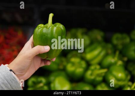Immagine ravvicinata della mano che tiene il capsico verde o il peperone verde nel supermercato. Foto Stock