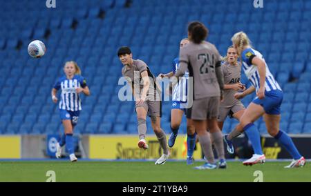 Brighton, Regno Unito. 15 ottobre 2023. Ashleigh Neville del Tottenham durante il Barclays Women's Super League match tra Brighton e Hove Albion e Tottenham Hotspur all'American Express Stadium di Brighton. Crediti: James Boardman/Alamy Live News Foto Stock