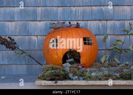 Zucca tagliata per Halloween a forma di casa. Decorazione di Halloween, vicino alla casa, per i passanti Foto Stock