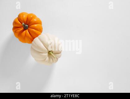 Zucche autunnali bianche e arancioni su sfondo bianco con spazio per la copia del testo. Vista dall'alto. Foto Stock
