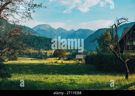 Valle di Bohinj sotto le Alpi Giulie nel parco nazionale del Triglav in Slovenia la mattina d'estate Foto Stock