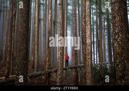 Un giovane si bilancia su un ceppo in una foresta nebbiosa. Foto Stock