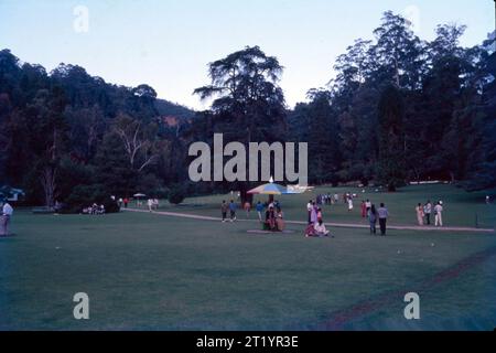 Il Government Botanical Garden è un giardino botanico situato a Udhagamandalam, vicino a Coimbatore (Ooty), nello stato del Tamil Nadu, in India, progettato nel 1848. Foto Stock