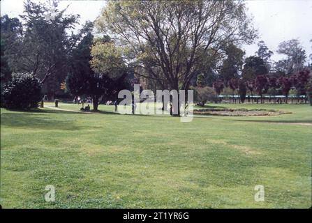 Il Government Botanical Garden è un giardino botanico situato a Udhagamandalam, vicino a Coimbatore (Ooty), nello stato del Tamil Nadu, in India, progettato nel 1848. Foto Stock