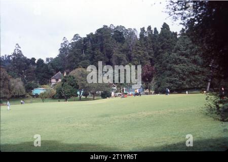 Il Government Botanical Garden è un giardino botanico situato a Udhagamandalam, vicino a Coimbatore (Ooty), nello stato del Tamil Nadu, in India, progettato nel 1848. Foto Stock