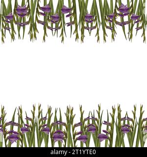 Gladioli acquerelli con striscione e motivo senza cuciture. Cornice floreale con fiori viola, gemme, foglie. Illustrazione isolata dipinta a mano su bianco Foto Stock