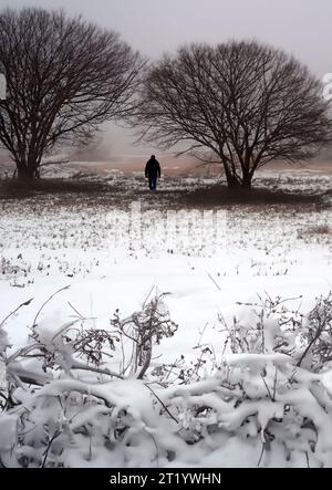 Campagna innevata in una mattinata nebbiosa nel North Yorkshire nel Regno Unito. Generazione IA. Foto Stock