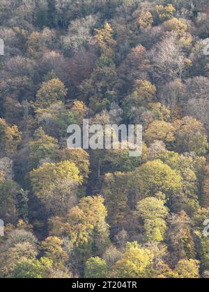 Nortoncamp Wood vicino a Craven Arms, Shropshire, vista da Stoke Wood nel colore autunnale. Foto Stock