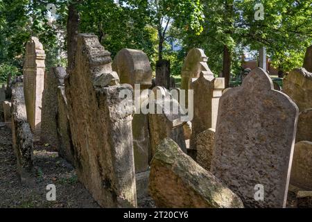 Tombe a Noda bi Yehuda, parte rimanente dell'antico cimitero ebraico (primo cimitero ebraico a Olšany) vicino alla Torre della televisione, Žižkov, Praga Repubblica Ceca Foto Stock