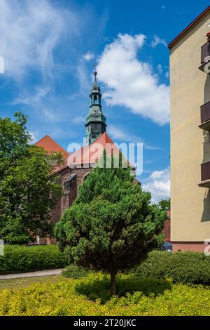 Chiesa francescana cattolica, Chiesa parrocchiale di San Francesco d'Assisi e San Pietro di Alcantara a Namyslow (Namslau), Voivodato di Opole, Polonia. Foto Stock