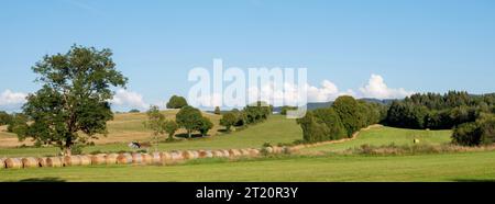 balle di fieno nella verde campagna ondulata del giura francese in estate sotto il cielo blu Foto Stock