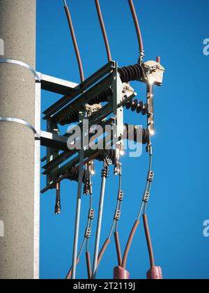 Isolanti sulle linee elettriche su un polo di una linea elettrica aerea Foto Stock