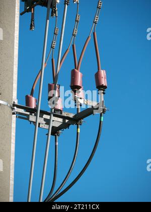 Isolanti sulle linee elettriche su un polo di una linea elettrica aerea Foto Stock