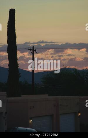 Una serie di porte del garage in un ambiente esterno illuminato da un sole che tramonta, con un torreggiante albero di cactus che offre uno sfondo pittoresco Foto Stock
