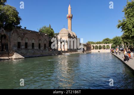 Sanliurfa, Turchia - 15 luglio 2023: Il lago e i pesci che vi vivono, situati nel centro di Şanlıurfa, dove si ritiene che il profeta Abramo Foto Stock