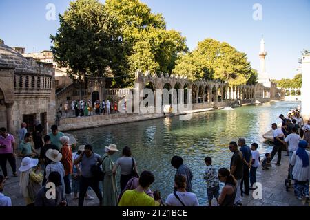 Sanliurfa, Turchia - 15 luglio 2023: Il lago e i pesci che vi vivono, situati nel centro di Şanlıurfa, dove si ritiene che il profeta Abramo Foto Stock