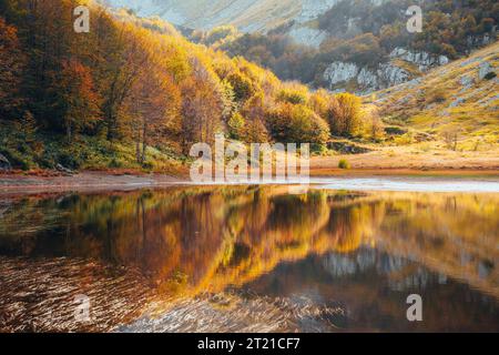 Paesaggio lacustre autunnale con riflessi, Italia Foto Stock