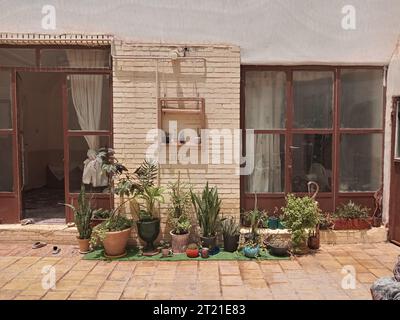 Un patio esterno con pavimento in mattoni è pieno di varie piante in vaso di varie dimensioni, forme e colori Foto Stock