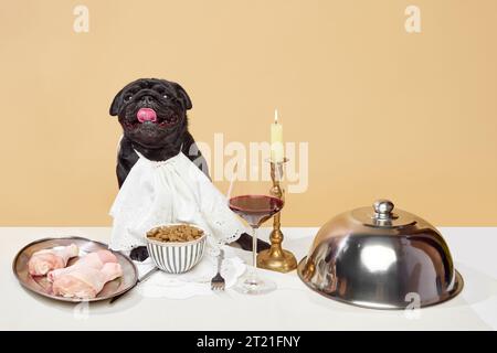 Ritratto di un allegro carino aristocratico, un cane di razza seduto sul tavolo con diversi piatti deliziosi, un bicchiere di vino sullo sfondo dello studio beige. Foto Stock