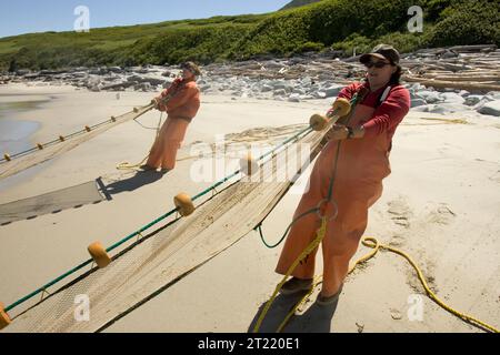 La ricerca sul pesce foraggio nelle isole Shumagin, in particolare sull'isola Big Koniuji, contribuisce a comprendere gli ecosistemi marini e la loro importanza per la fauna costiera nell'Alaska Maritime National Wildlife Refuge. Foto Stock