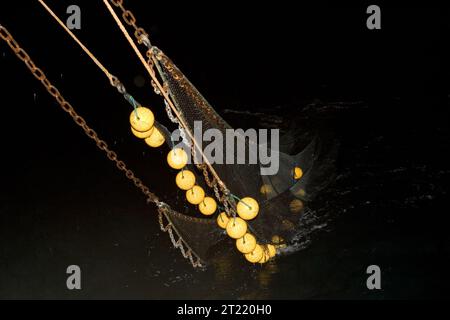 Una rete di pesca da foraggio condotta nel 2006 intorno alle Isole Shumagin come parte della ricerca all'interno dell'Alaska Maritime National Wildlife Refuge. Questa ricerca aiuta a comprendere le reti alimentari marine e la salute dell'ecosistema. Foto Stock