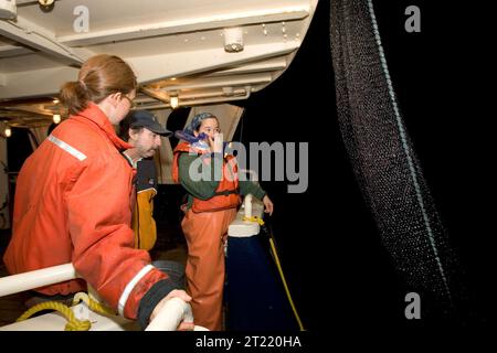 Ricerca sul pesce foraggio condotta a bordo del M/V Tiglax nel 2006 nell’ambito degli sforzi di monitoraggio dell’Alaska Maritime National Wildlife Refuge. Questo studio esamina il ruolo dei piccoli pesci negli ecosistemi marini. Foto Stock