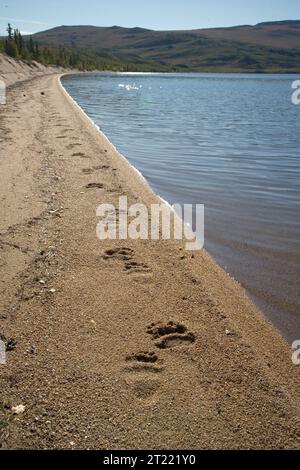 38930. Soggetti: Kanuti National Wildlife Refuge; KNWR; ricreazione; turismo; paesaggi; osservazione di flora e fauna selvatiche; Scenics; laghi. . 1998 - 2011. Foto Stock