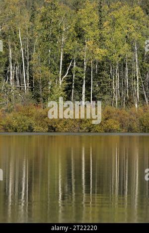 38930. Soggetti: Kanuti National Wildlife Refuge; ricreazione; turismo; paesaggi; osservazione della fauna selvatica; tundra; fiumi e ruscelli; Scenics. . 1998 - 2011. Foto Stock