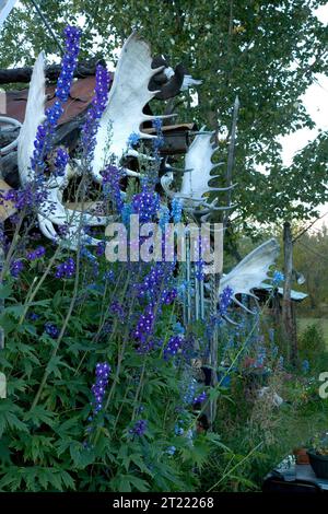 38930. Soggetti: Kanuti National Wildlife Refuge; KNWR; ricreazione; turismo; paesaggi; impatti umani; osservazione della fauna selvatica; Tundra. . 1998 - 2011. Foto Stock