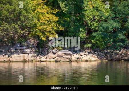 Geologia e fogliame di inizio autunno sul fiume Cumberland, Kentucky. Un grande airone blu per il pesce. Foto Stock