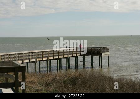 Due visitatori guardano il gabbiano solitario volare mentre si godono la vista dalla piattaforma di osservazione estesa fino all'acqua. Soggetti: Ambienti acquatici; uccelli acquatici; uccelli; birdwatching; edifici, strutture e strutture; ambienti costieri; connettere le persone con la natura; ambienti (naturali); attività ricreative; ambienti marini; Panoramica; luoghi (Human-made); pubblico a. luogo: Texas. Fish and Wildlife Service Site: RISERVA NATURALE NAZIONALE DI ARANSAS. Foto Stock