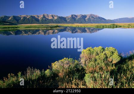 Red Rock Lakes National Wildlife Refuge, situato nel Montana, offre tranquille paludi e le aspre montagne Centennial, che offrono ai visitatori viste panoramiche mozzafiato. Questo rifugio è noto per la sua bellezza naturale incontaminata. Ubicazione: Montana. Foto Stock