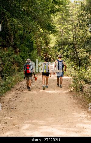 Hill Walkers nella foresta di Bonifatu, Corsica , Francia, camminando lungo un sentiero a metà estate Foto Stock