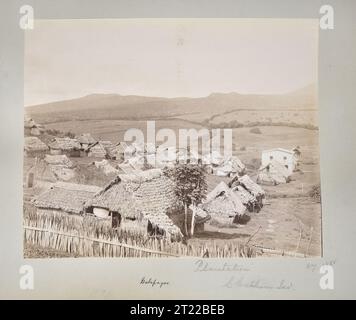 Galapagos, Plantation, Chatham Island. Archivi nazionali a College Park - Archivi II (College Park, MD). Stampa fotografica. Ufficio del Commissario per la pesca e la pesca. 1871-1903. Crociere Albatross dalle Indie occidentali attraverso lo stretto di Magellano, quindi verso nord fino alla California e lungo la costa occidentale fino all'Alaska Foto Stock